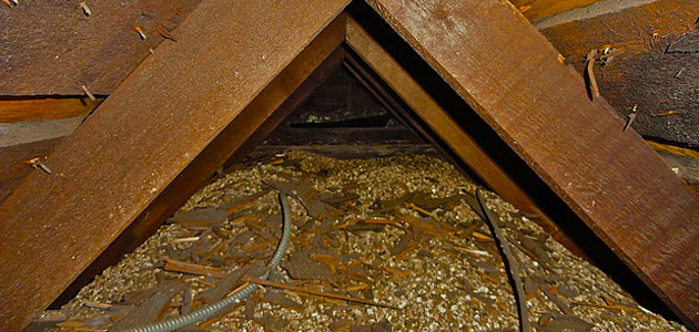 This attic insulation is likely to have asbestos content. In drafty homes, this may introduce asbestos fibers into the airstream. Let our experience work for you. Attic insulation